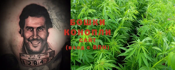 бошки Волоколамск