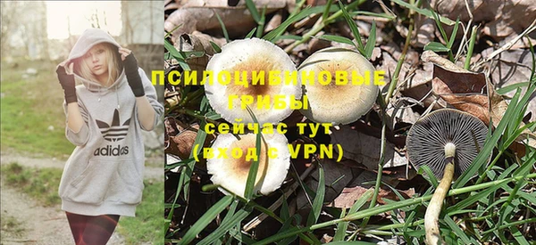 бошки Волоколамск